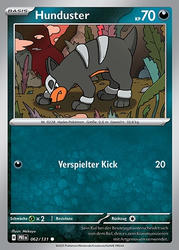 Prismatische Entwicklungen 062/131 Hunduster