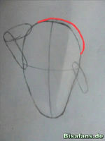 Zeichenkurs Woingenau - Schritt 4