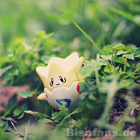 Fotografietitelbild Fotografietitelbild