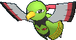 Xatu Xatu