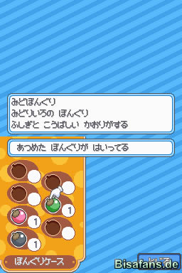 Aprikoko-Früchte   Aprikoko-Früchte