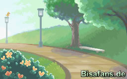 Käfersammler-Wettbewerb am Morgen Käfersammler-Wettbewerb am Morgen