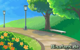 Käfersammler-Wettbewerb am Tag Käfersammler-Wettbewerb am Tag