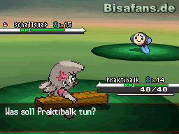 Im Ewigenwald können wir uns ein Praktibalk fangen und prima trainieren Im Ewigenwald können wir uns ein Praktibalk fangen und prima trainieren