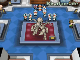 Kaum haben wir den Orden, überschlagen sich die Ereignisse Kaum haben wir den Orden, überschlagen sich die Ereignisse