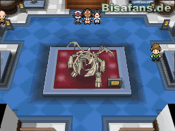 Team Plasma lässt den Drachen kopflos zurück Team Plasma lässt den Drachen kopflos zurück