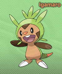 Igamaro Igamaro