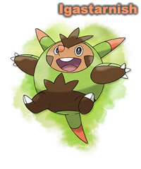 Igastarnish Igastarnish