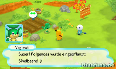 Grillmak und Vegimak sind auch dabei, letzterer hilft beim Einpflanzen von Beeren. Grillmak und Vegimak sind auch dabei, letzterer hilft beim Einpflanzen von Beeren.