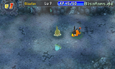 In der Felsenhöhle finden wir auch hilfreiche Gegenstände am Boden. In der Felsenhöhle finden wir auch hilfreiche Gegenstände am Boden.