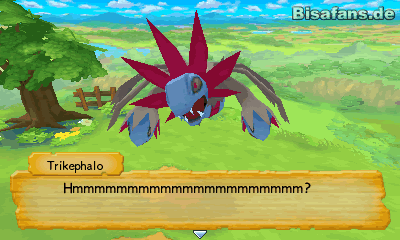 Trikephalo sorgte für den einen oder anderen Schmunzler in der Geschichte Trikephalo sorgte für den einen oder anderen Schmunzler in der Geschichte