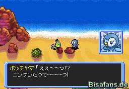 Screenshot Screenshot