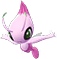Celebi Celebi