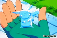 Screenshot  Screenshot