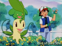 Screenshot  Screenshot