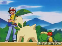 Screenshot  Screenshot