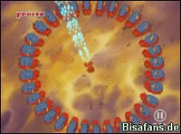 Screenshot  Screenshot