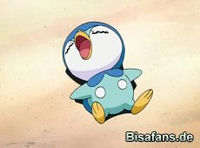 Screenshot  Screenshot