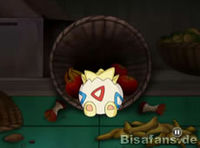 Screenshot  Screenshot