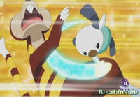 Screenshot  Screenshot