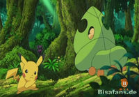 Screenshot  Screenshot