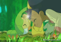 Screenshot  Screenshot