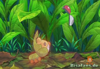 Screenshot  Screenshot