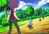 Screenshot  Screenshot