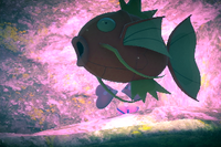 Beispielfoto für 1 Stern(e) Beispielfoto für 1 Stern(e)