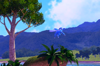 Beispielfoto für 1 Stern(e) Beispielfoto für 1 Stern(e)