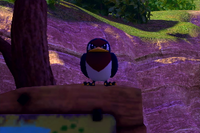 Beispielfoto für 1 Stern(e) Beispielfoto für 1 Stern(e)