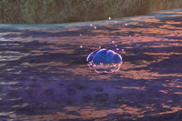 Beispielfoto für 1 Stern(e) Beispielfoto für 1 Stern(e)