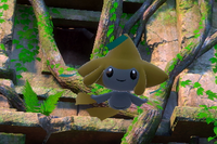 Beispielfoto für 1 Stern(e) Beispielfoto für 1 Stern(e)