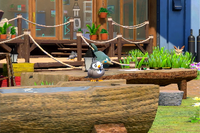 Beispielfoto für 1 Stern(e) Beispielfoto für 1 Stern(e)