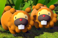 Beispielfoto für 1 Stern(e) Beispielfoto für 1 Stern(e)