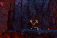 Beispielfoto für 1 Stern(e) Beispielfoto für 1 Stern(e)