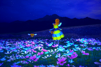 Beispielfoto für 1 Stern(e) Beispielfoto für 1 Stern(e)