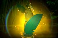 Beispielfoto für 1 Stern(e) Beispielfoto für 1 Stern(e)