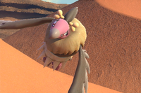 Beispielfoto für 1 Stern(e) Beispielfoto für 1 Stern(e)