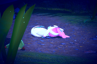 Beispielfoto für 1 Stern(e) Beispielfoto für 1 Stern(e)