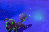 Beispielfoto für 1 Stern(e) Beispielfoto für 1 Stern(e)