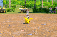 Beispielfoto für 2 Stern(e) Beispielfoto für 2 Stern(e)