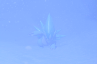 Beispielfoto für 2 Stern(e) Beispielfoto für 2 Stern(e)