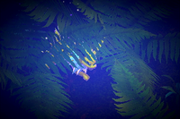 Beispielfoto für 2 Stern(e) Beispielfoto für 2 Stern(e)