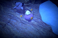 Beispielfoto für 2 Stern(e) Beispielfoto für 2 Stern(e)