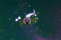 Beispielfoto für 2 Stern(e) Beispielfoto für 2 Stern(e)