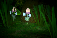 Beispielfoto für 2 Stern(e) Beispielfoto für 2 Stern(e)