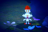 Beispielfoto für 2 Stern(e) Beispielfoto für 2 Stern(e)