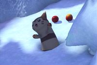 Beispielfoto für 3 Stern(e) Beispielfoto für 3 Stern(e)