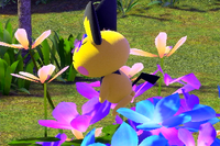 Beispielfoto für 3 Stern(e) Beispielfoto für 3 Stern(e)